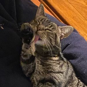 Meet your Posher, Kai